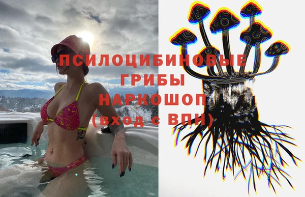 спиды Алексеевка
