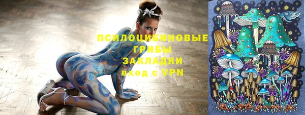 первитин Армянск