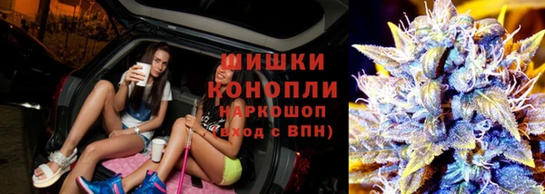 крисы Аркадак