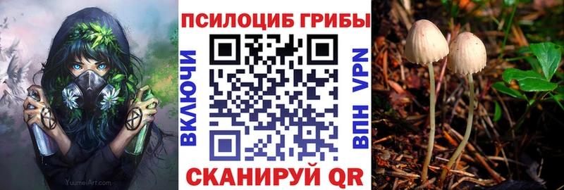 где найти наркотики Меленки Галлюциногенные грибы ЛСД